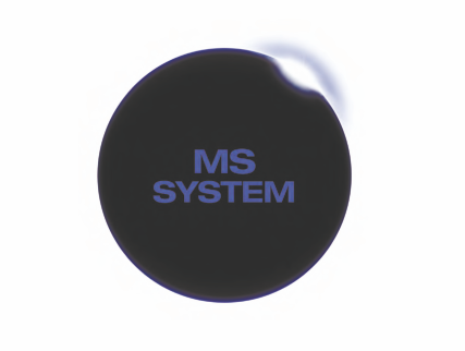 MS System